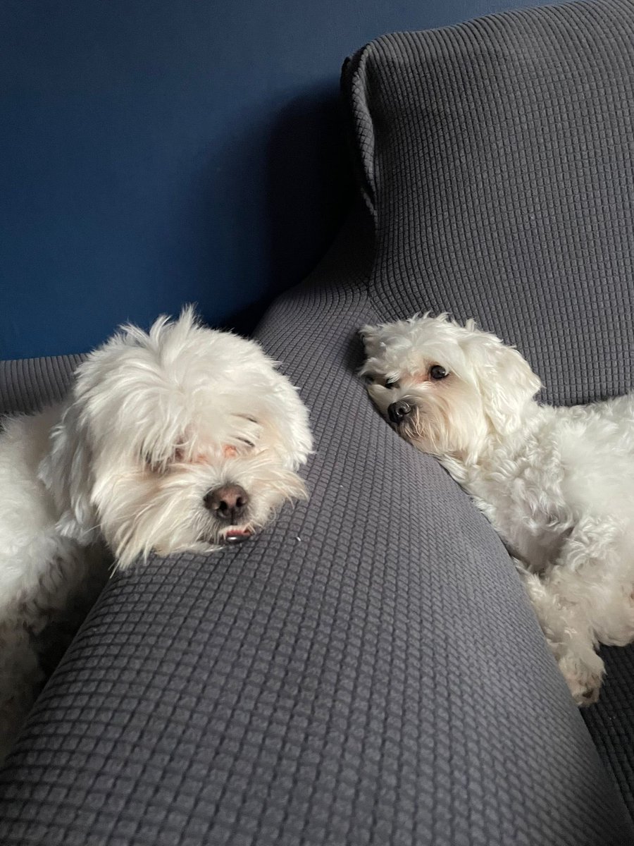 Phil Sainter tweet media