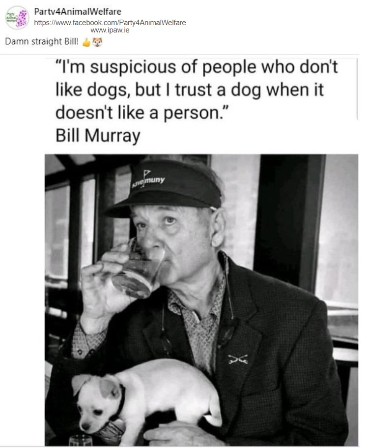 Damn straight Bill! 👍🐶
"I'm suspicious of people who don't 
like dogs, but I trust a dog when it 
doesn't like a person."
- #BillMurray

#LE2024
#EU2024
#GE2025

#Vote1PAW     
ipaw.ie/join