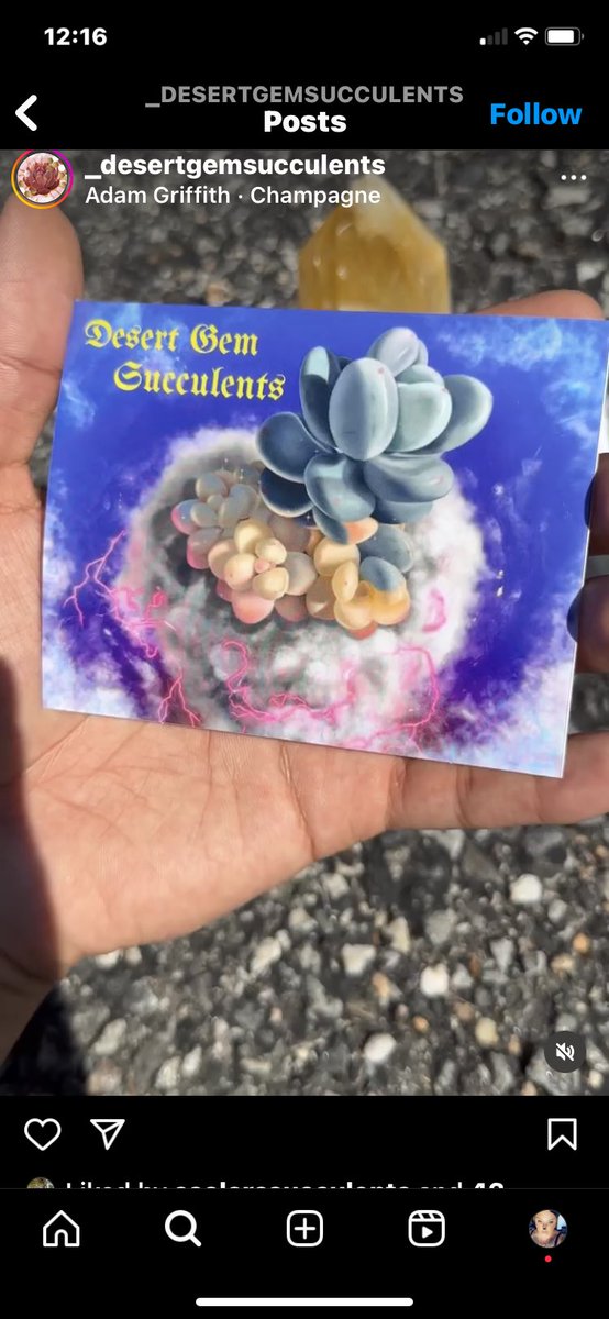 🔮Snax🔮 tweet media