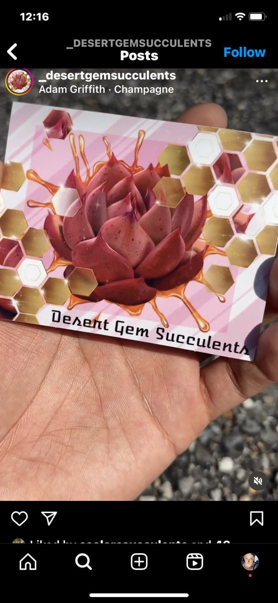 🔮Snax🔮 tweet media