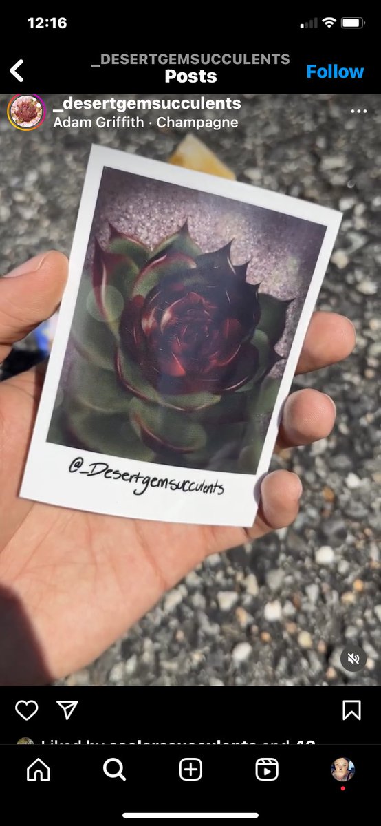 🔮Snax🔮 tweet media