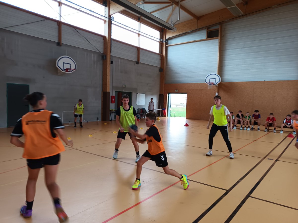 Section Handball Collège BALZAC ALENCON tweet media