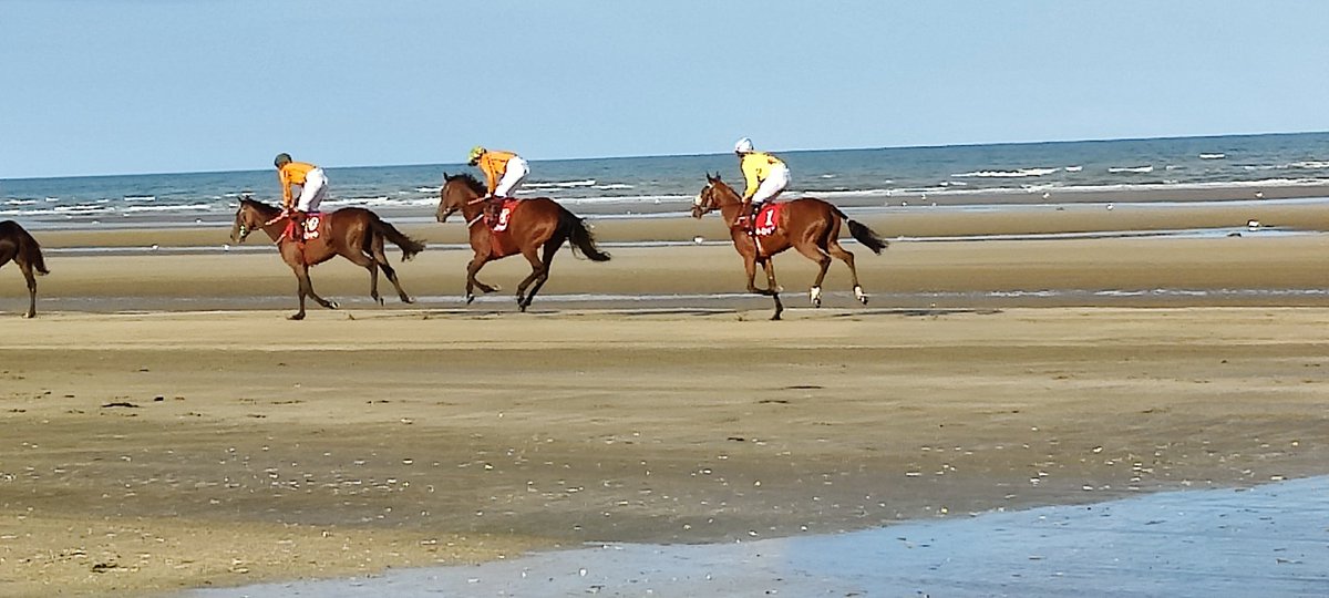 bonaireblue's tweet image. Many thanks to @SyndicatesHQ for introducing us to #laytown many years ago.. back for another visit.