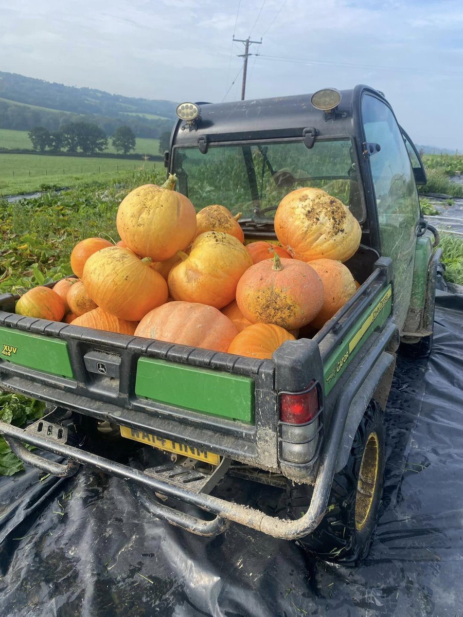 Eversfield Organic tweet media