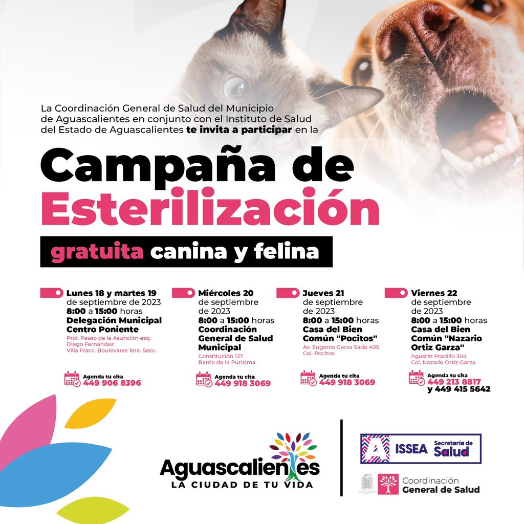 MunicipioAgs's tweet photo. La Coordinación General de Salud a través del Departamento de Bienestar Animal realizará una jornada de 120 esterilizaciones los días 12, 13, 14 de septiembre en la comunidad Norias de Ojocaliente, con la finalidad de beneficiar a la población del área rural. 🐶😸 https://t.co/DzvZjQVQkd