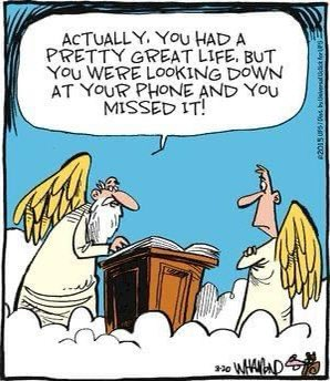 Sakura (@lushanshan_631) on Twitter photo 