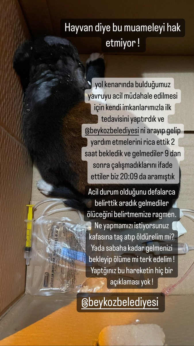 Arasysmk's tweet photo. Ypruma detayını yazıyorum. @Beykoz_Bld @hakim_komite @HaytapOfficial @BayJem @patilerdeyasasi https://t.co/dikepF5C2m
