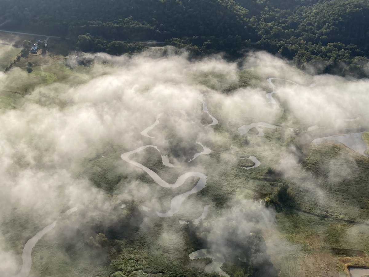 Have I ever said the #DriftlessRegion is one of my favorite places on Earth? ‘Cause it is! (And not only for the #flyfishing!) #Wisconsin  #biodiversity #glaciology #trout #tudare <a href="/TroutUnlimited/">Trout Unlimited</a>