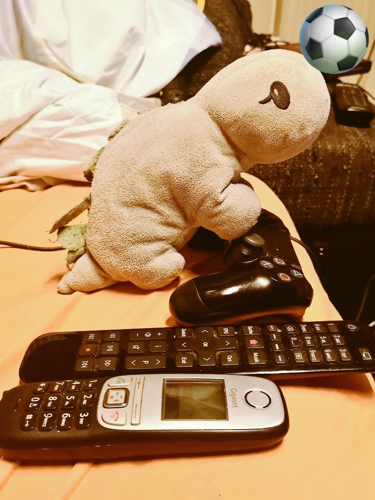 caromaus_'s tweet photo. Wilhelm spielt manchmal auch die deutsche Nationalmannschaft 😂⚽#GERFRA https://t.co/vEjjqIdKvP