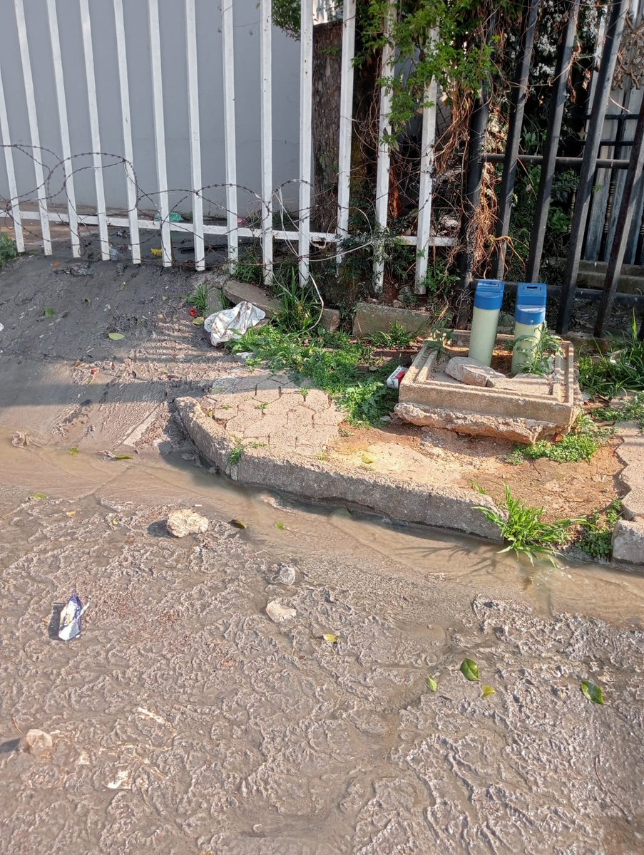 eezakie's tweet photo. @CityofJoburgZA @MWaoela @JHBWater @DAJhbCllrAtWork @Abramjee @dailysunsa this is the filth we are living with, sewage running for a full month we had people out to fix it which only lasted an hour and then back to the mess, the stench is horrible @GP_DHS https://t.co/vjLnX3G2d4