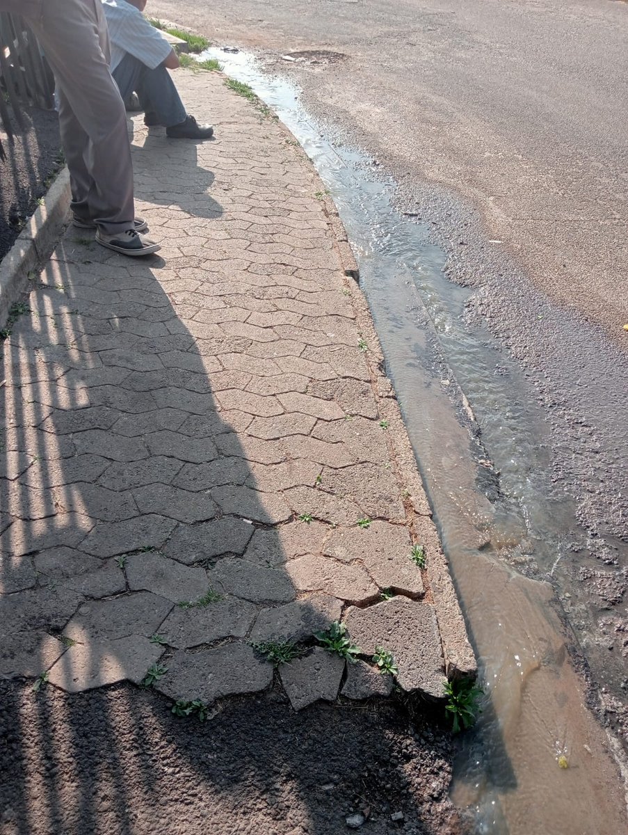 eezakie's tweet photo. @CityofJoburgZA @MWaoela @JHBWater @DAJhbCllrAtWork @Abramjee @dailysunsa this is the filth we are living with, sewage running for a full month we had people out to fix it which only lasted an hour and then back to the mess, the stench is horrible @GP_DHS https://t.co/vjLnX3G2d4