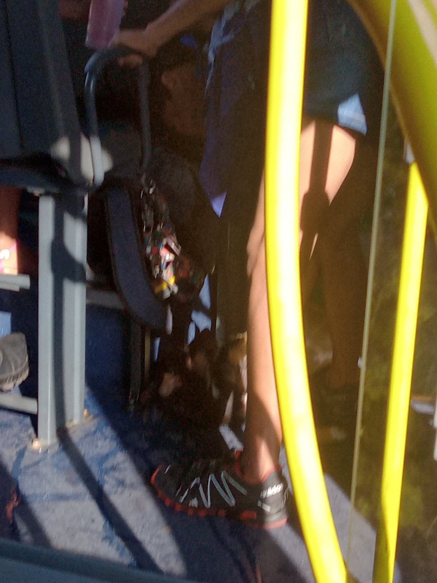 Tem coisas que apenas um ônibus para o Gama pode te proporcionar, como compartilhar a viagem com um vira lata kkkkkkk 🥺😂