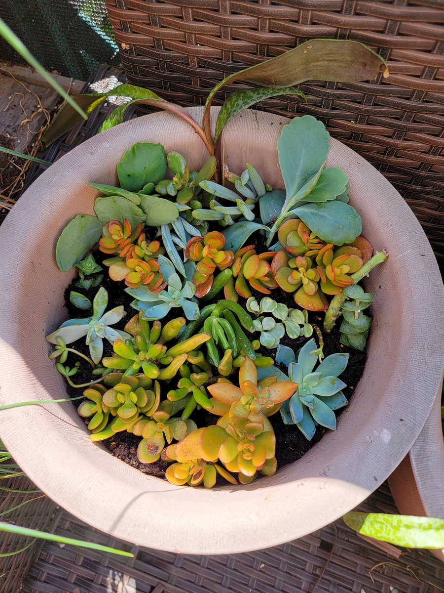 Dare__404's tweet image. plant now refactor later

raise chaos #propagate art

fail frequently and practice patience 

#learn #javascript &amp;amp;&amp;amp; sweep your goddamn porch