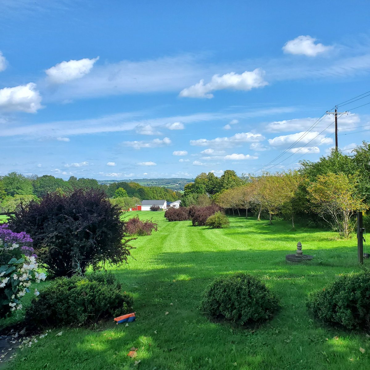 theukpa86's tweet photo. @MikeB1MileHi #countryview https://t.co/RevvBKOvyj