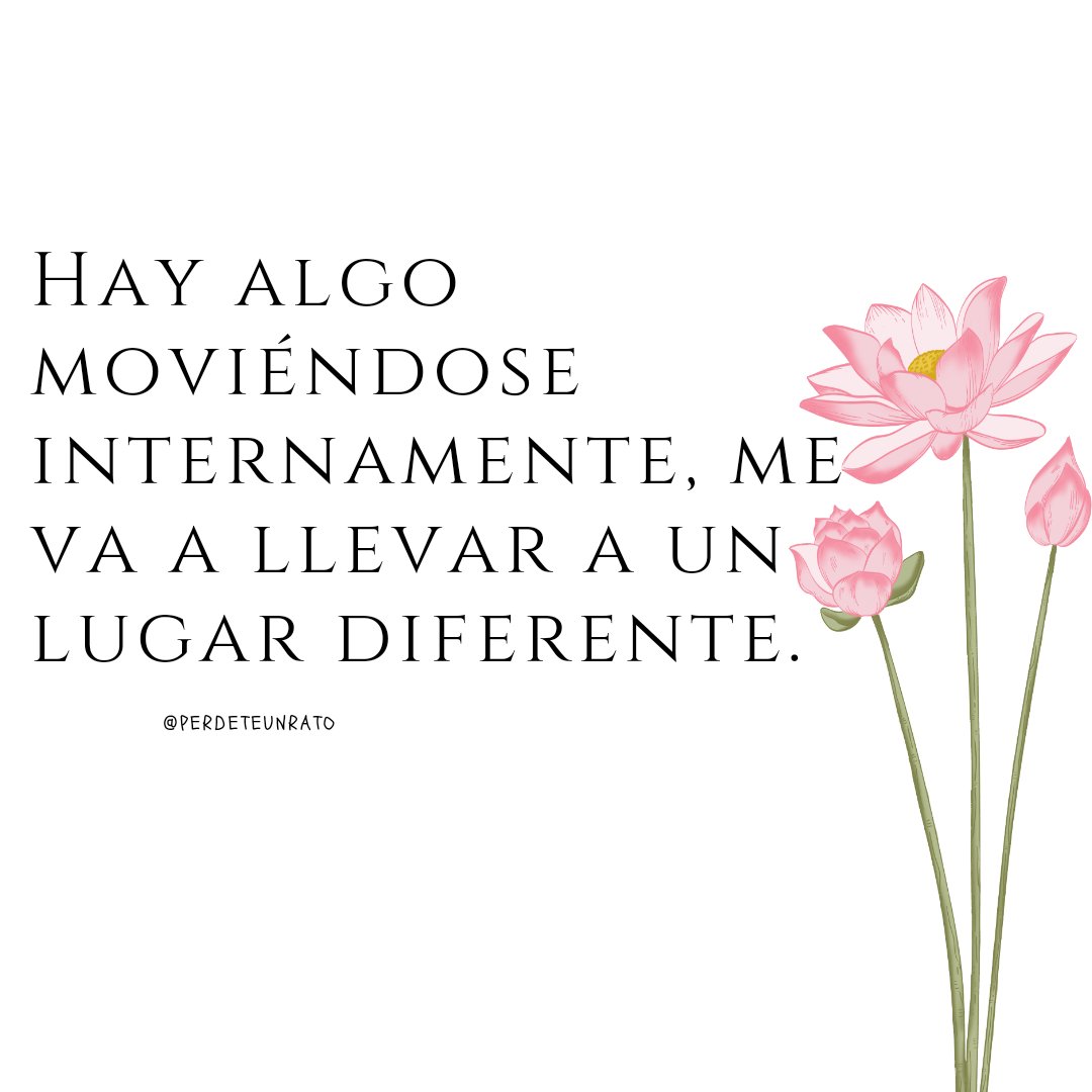 perdeteunrato's tweet photo. Internamente.
Hgts #fypシ #fypage #letras #vesos #Parati https://t.co/SOCvJMAsLN