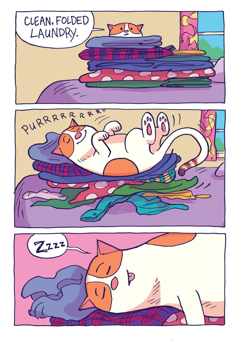 PaigeBraddock's tweet photo. Clean laundry... not even the most aloof can resist 😆

More antics here ⬇️😸

https://t.co/JxdDmaWssJ 🇺🇸
https://t.co/CmB4sAm54M 🇬🇧

#cats #comics #kidsbooks #catlover #cartoonart https://t.co/uxJOkFRuc6