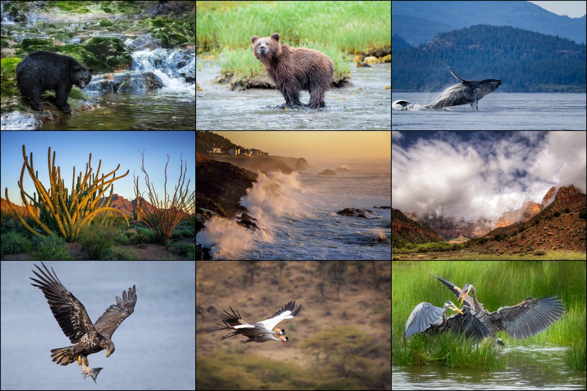 annemckinnell's tweet photo. In the great outdoors with my camera, every day is a new adventure. From untamed wilderness to tranquil seas, I find art in every corner of nature's gallery.
Wander with me.
#BoondockingLife #AdventurePhotographer https://t.co/lbX0dv6M5e