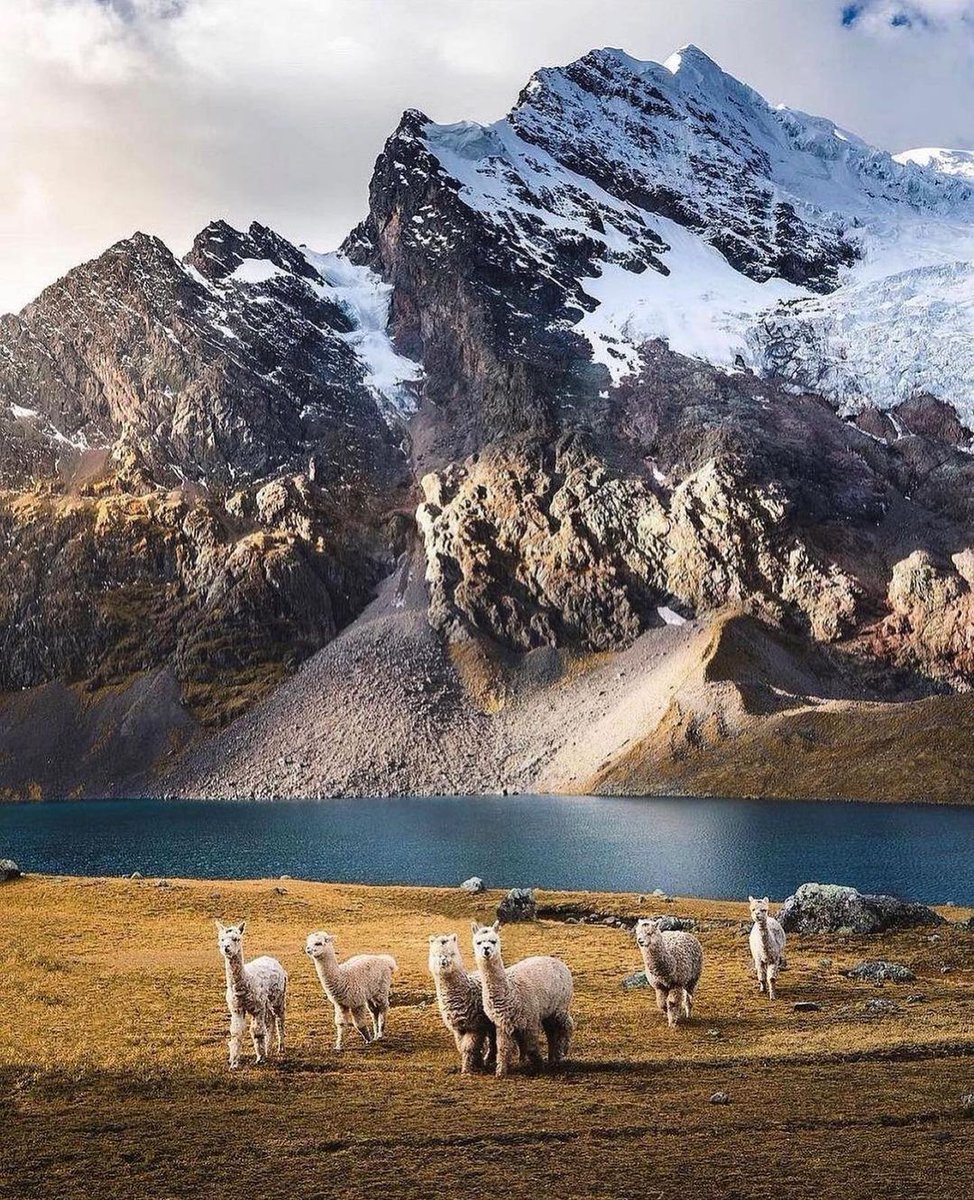 Nature__Gift's tweet photo. 📍Lost in the wild beauty of Peru 🇵🇪 From towering peaks to incredible diversity, this country is a true natural wonderland. Tag a friend you'd love to explore these incredible landscapes with! 🤩

 #müller #Samsung #GERFRA #freir with @voice_sable https://t.co/LuXiAJu6pN