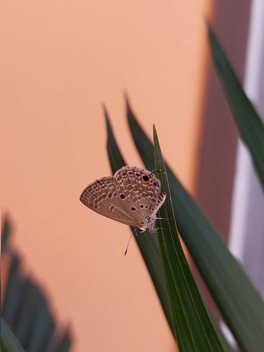 ureeebaba's tweet image. #night #blessing #Staybless