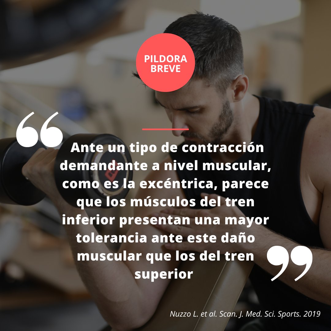 pildorabreve's tweet photo. 🦵Por ello, solemos tener mayores agujetas en este segmento corporal
#sinciencianohayfuturo #excentrico #doms #ejercicio https://t.co/zFNk95PT5Q