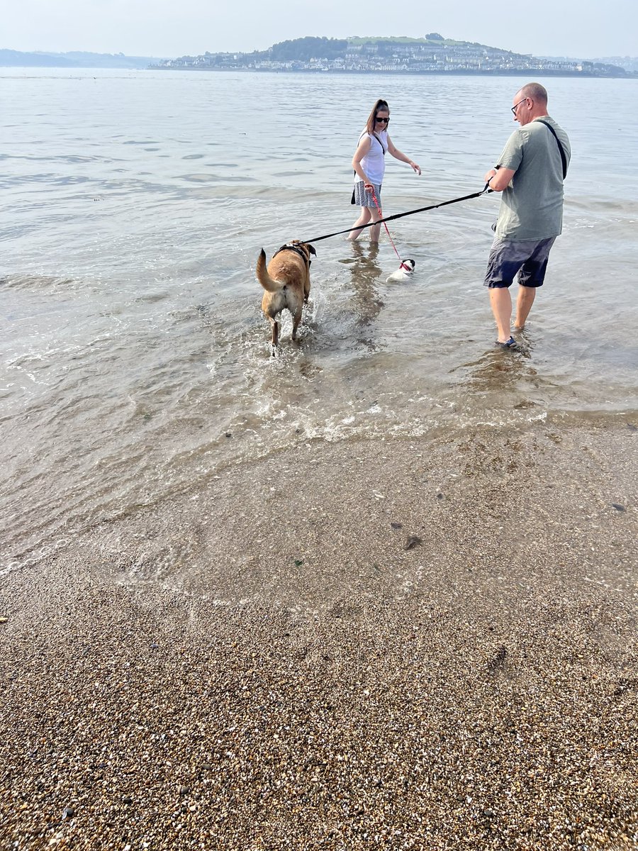 MapleandJeff1's tweet photo. I dug holes, slept on the beach, goofed about with my actual sister and went in the sea. Eventually. Look, those waves were three inches high and scary! https://t.co/DH8g21tIWy