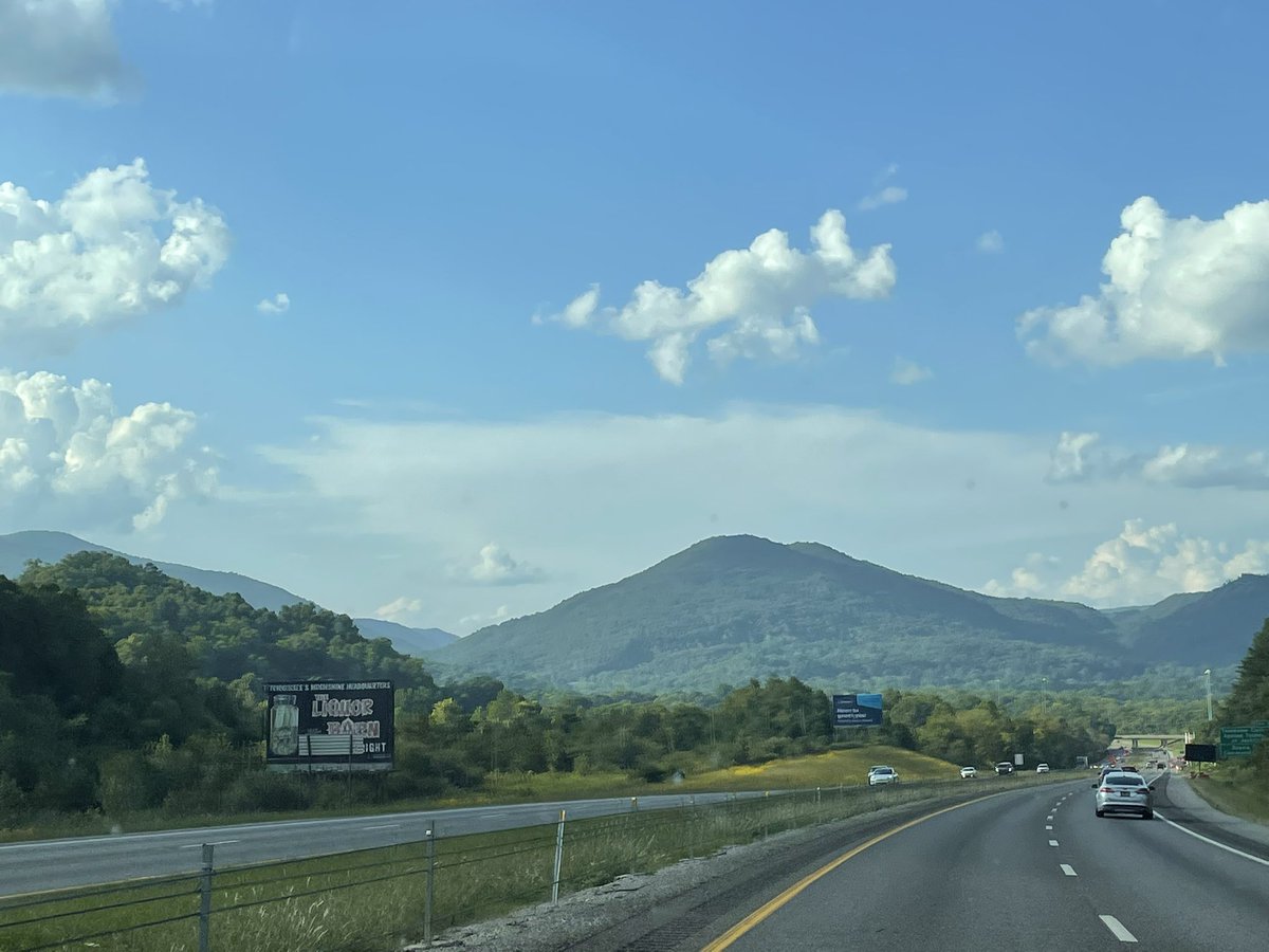 cryptogirl💋 tweet media