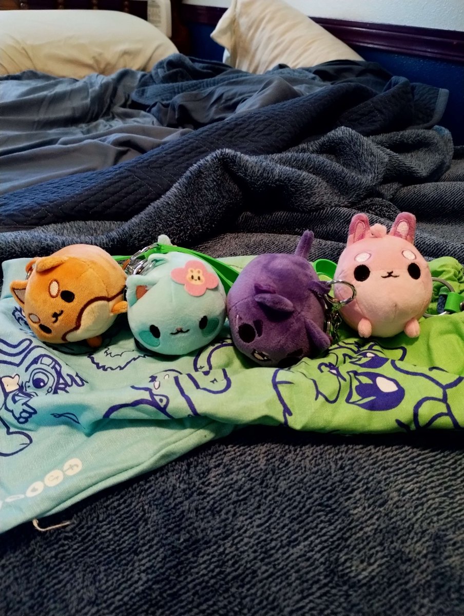 NkromancerN's tweet image. My lil guys came in!  Les gooooo!!!
#vchiban #vtuber #neatstuff