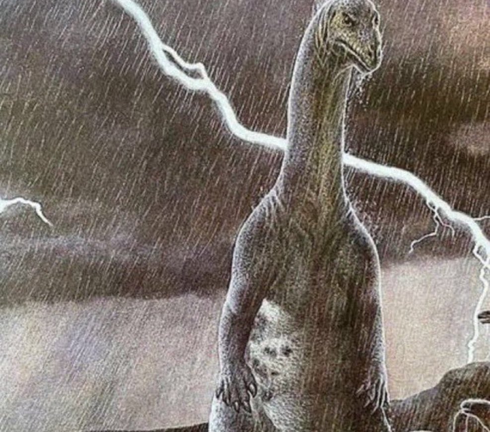 Arena Somnum (@insomniosia) on Twitter photo 