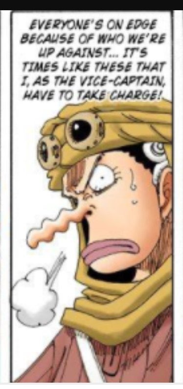Usopp is the vice captain