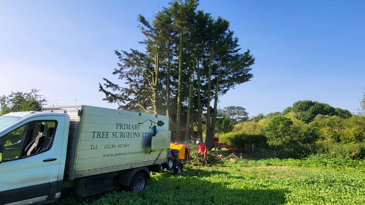 PrimaryTreeSurg's tweet photo. Spider MEWP making short work of these Leylandii fells in #Mapledurwell
#treesurgery #treesurgeons #arb #workatheight https://t.co/0YNiETxzEJ