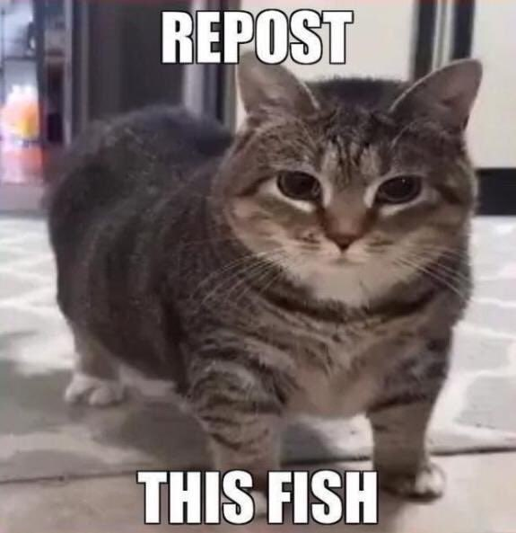 aquaismissing's tweet image. 