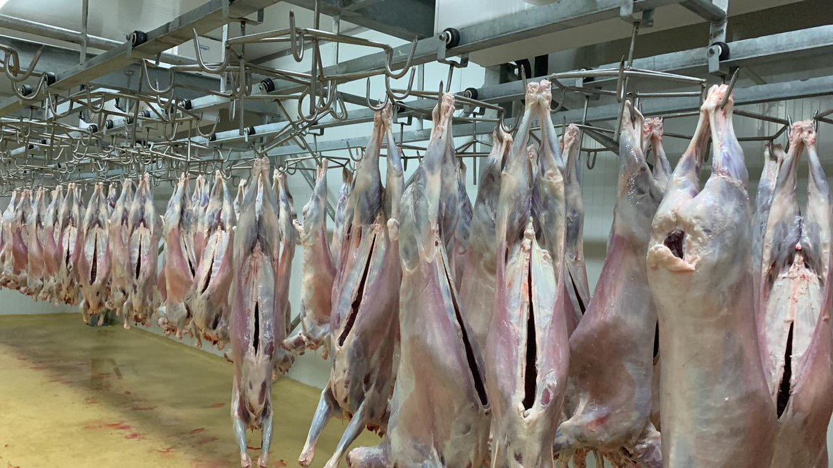 JBarmaki's tweet photo. The first consignment of #Kenyan #meat exported to #Iran on 12 Sept. 2023. The second one will be sent tomorrow. An effort to boost trade relations between two countries. https://t.co/g0Hi8Z8wQa