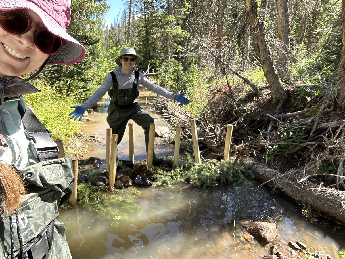 At the Authority, we get to enjoy and support healthy watersheds both during work AND after hours. This weekend, staff engineer Lily Bosworth built beaver dam analogs with <a href="/sagelandcollab/">Sageland Collaborative</a> and <a href="/UtahDWR/">UtahDWR</a> to restore a degraded stream. How do you show love to our Utah watersheds?