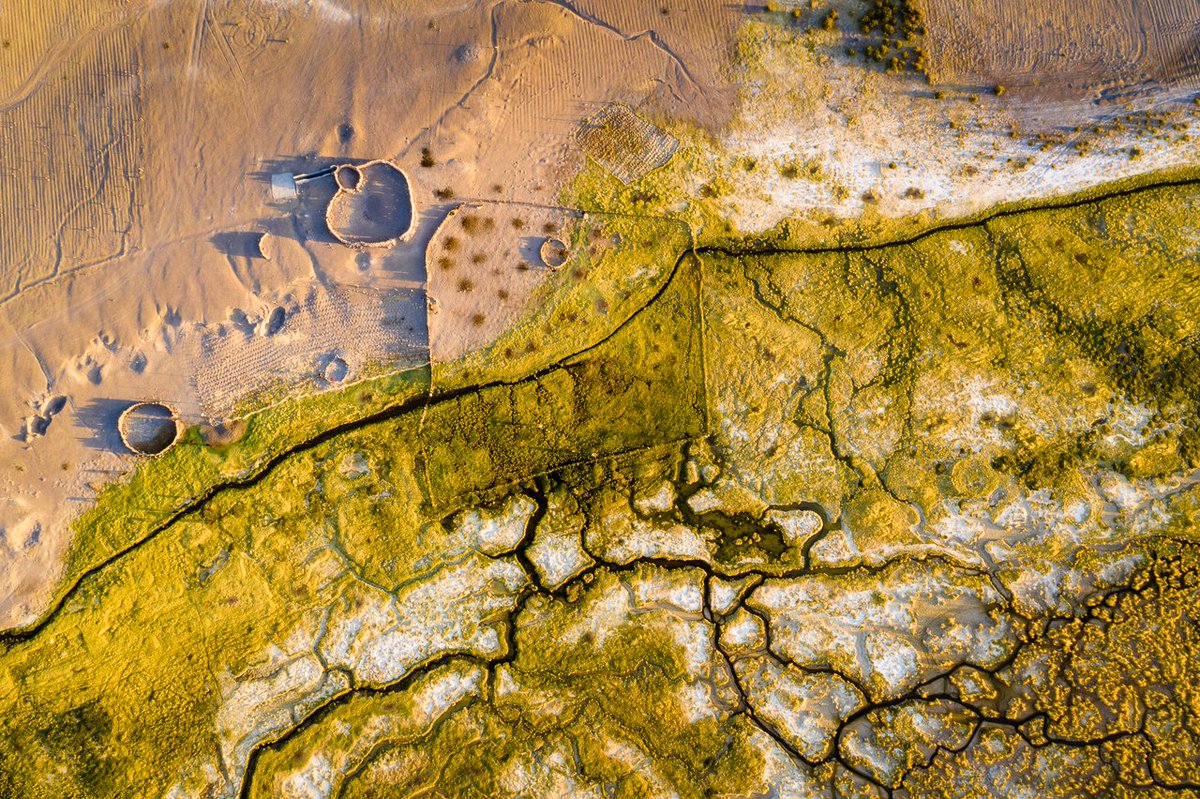 📷📷Good Morning World!📷📷 
                                               
Check out our daily top 8 artists on  

▫️ Round 1531 
▫️ Image by Sharker

peakd.com/hive-153349/@p… 

#photography #hive #hiveworks #hiveblog #HIVETwitter #photo #artist #photofeed $hive