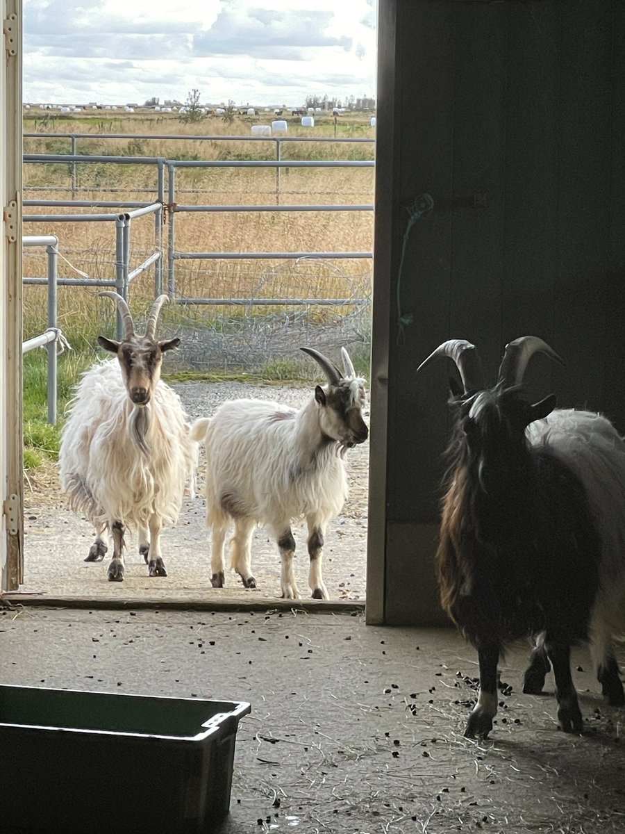 Jessica Webster tweet media