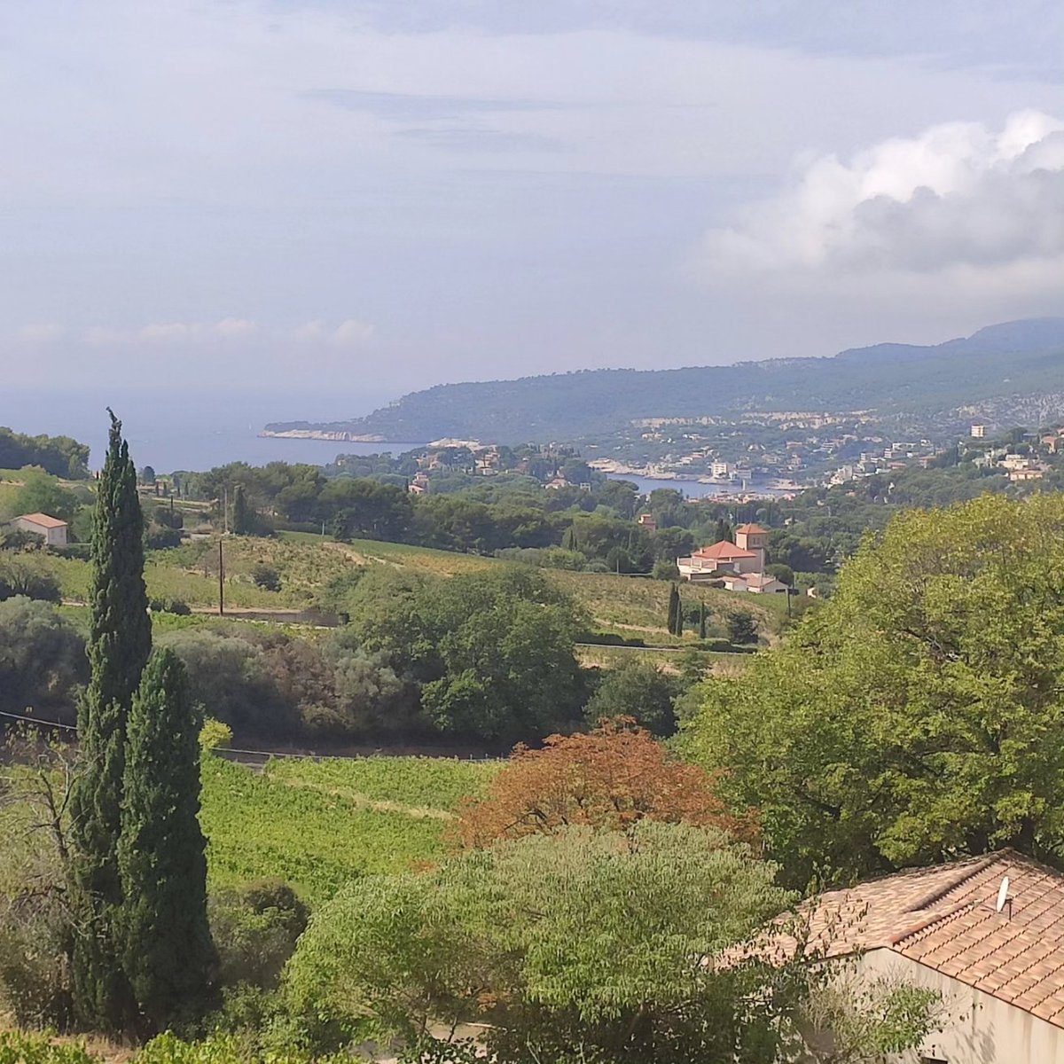 ABarrettBoy's tweet photo. Cassis (2/2) #LesCalanques https://t.co/bBK1XzsULp