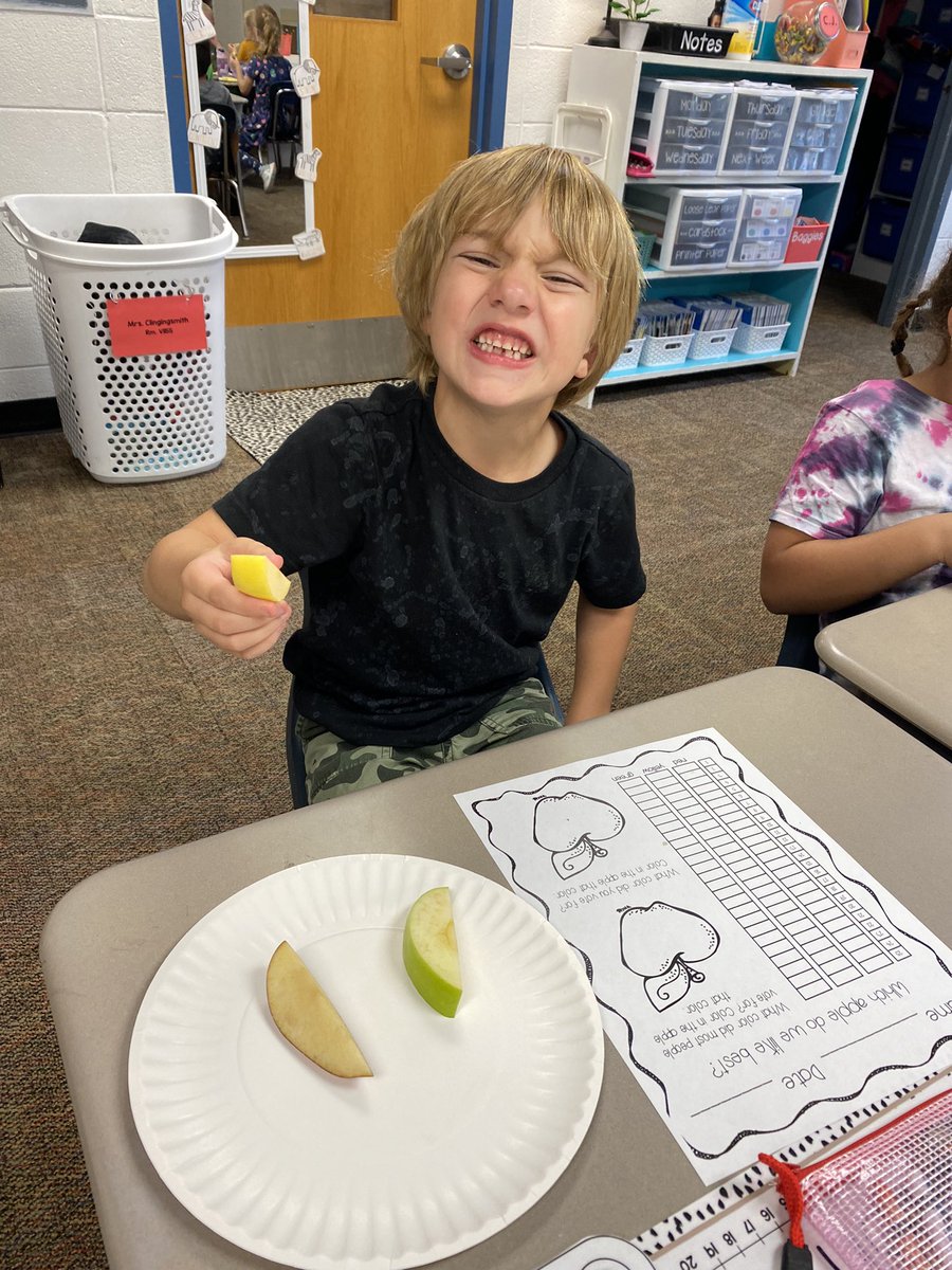 dclingingsmith1's tweet image. Apple taste testing 🍎💛🍏 What is your favorite? #fabulousfirsties #appletasting #applescience @VV_Voyagers