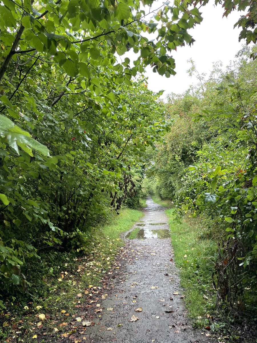 Marshlands Lakeside Nature Retreat tweet media