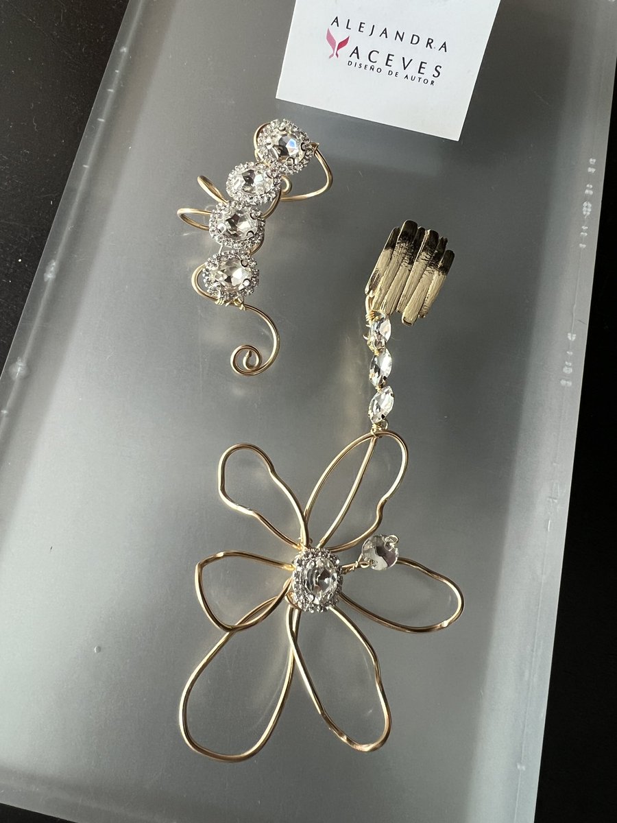 alejandraaceves's tweet image. Hermosa mi amiga la actriz @fridastrid con accesorios de mi diseño, en los Arieles.
Aquí con #Iñárritu