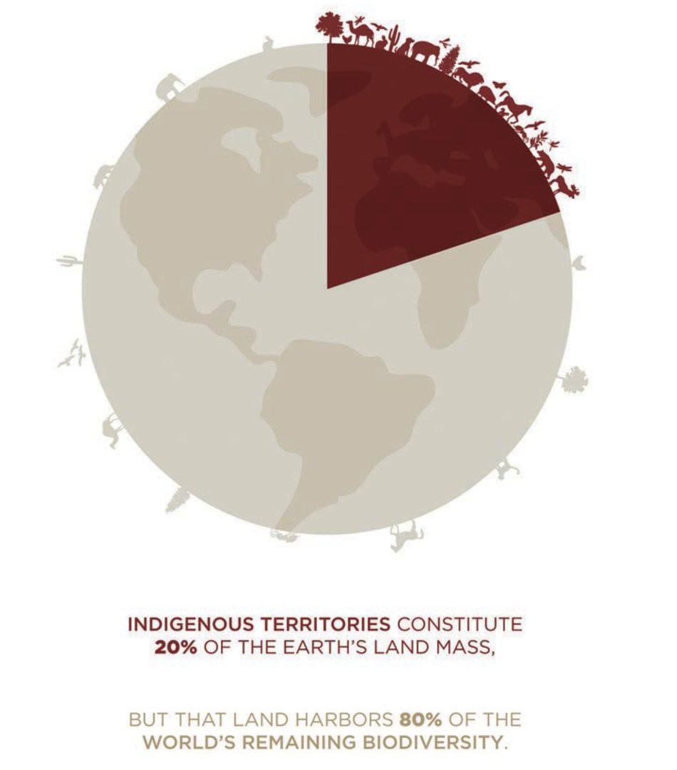 National Academy of Sciences (@thenasciences) on Twitter photo Soil scientist Lydia Jennings (<a href="/1NativeSoilNerd/">Lydia Jennings, Ph.D.</a>) of <a href="/ASU_SOS/">ASU School of Sustainability</a> discusses how to ground indigenous rights & knowledge into data science and empower indigenous communities to steward #biodiversity data through expanded access.🌿
Tune in live: bit.ly/usukforum-rese… #USUKForum Soil scientist Lydia Jennings (<a href="/1NativeSoilNerd/">Lydia Jennings, Ph.D.</a>) of <a href="/ASU_SOS/">ASU School of Sustainability</a> discusses how to ground indigenous rights & knowledge into data science and empower indigenous communities to steward #biodiversity data through expanded access.🌿
Tune in live: bit.ly/usukforum-rese… #USUKForum
