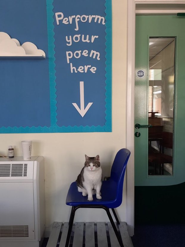 CatWorkers's tweet photo. https://t.co/aoELzlnHyi