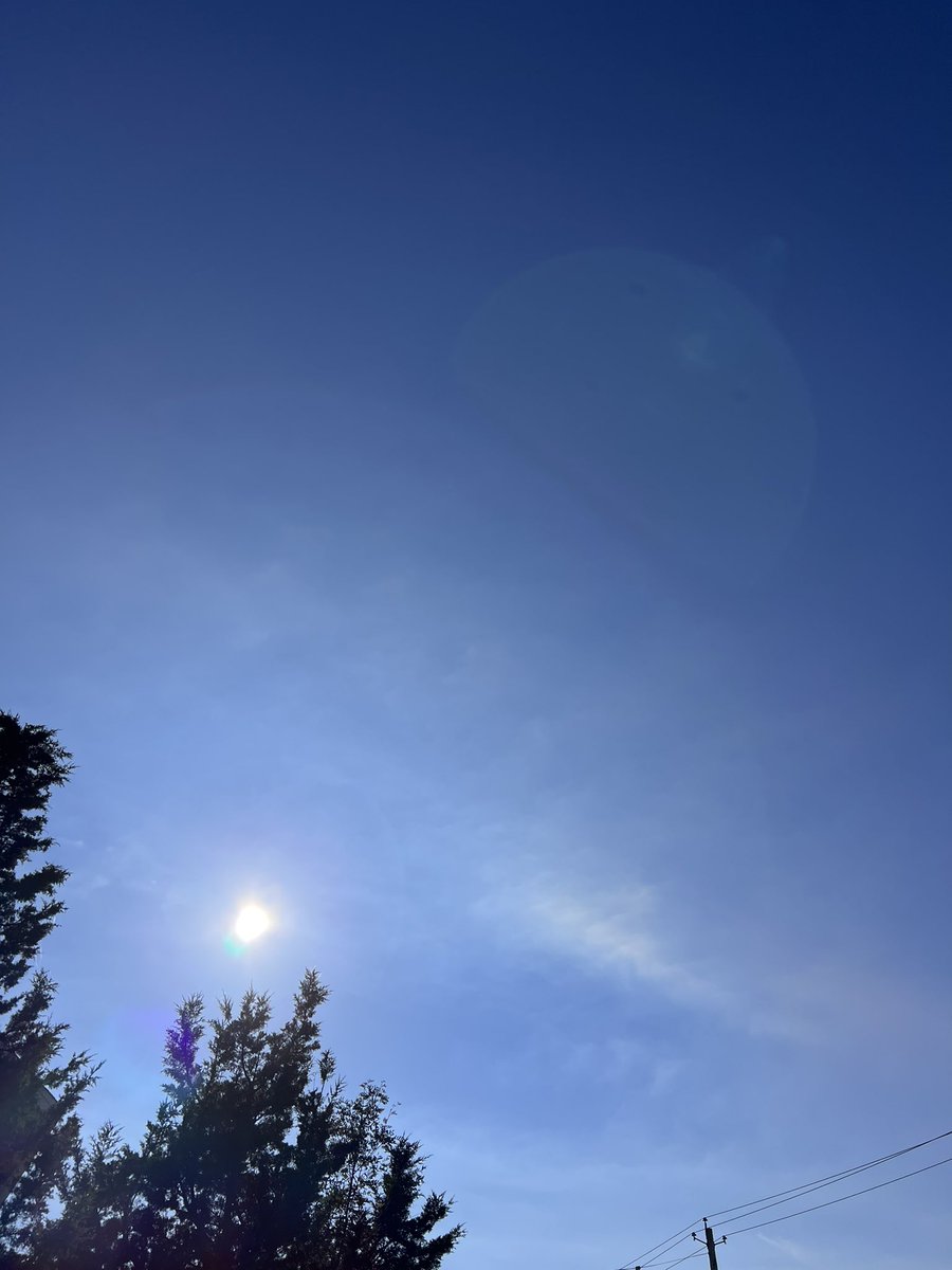 CrystalRunsFree's tweet image. Tuesday morning misty/foggy 3KM walk before work. 
Afternoon 1.5KM walk actually had some sun! #runchat #recoveryweek #selfcare #fitness #halfmarathontraining