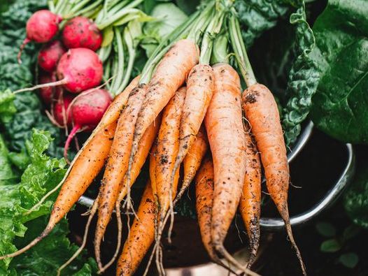 KilmacolmEco's tweet photo. Are YOU interested in joining other local people, creating a community garden and growing space where wildlife can thrive and members can grow and harvest healthy fresh produce ? 
Keep checking for regular updates and information on how to get involved.
#Kilmacolm #community https://t.co/vSWgccP3oH