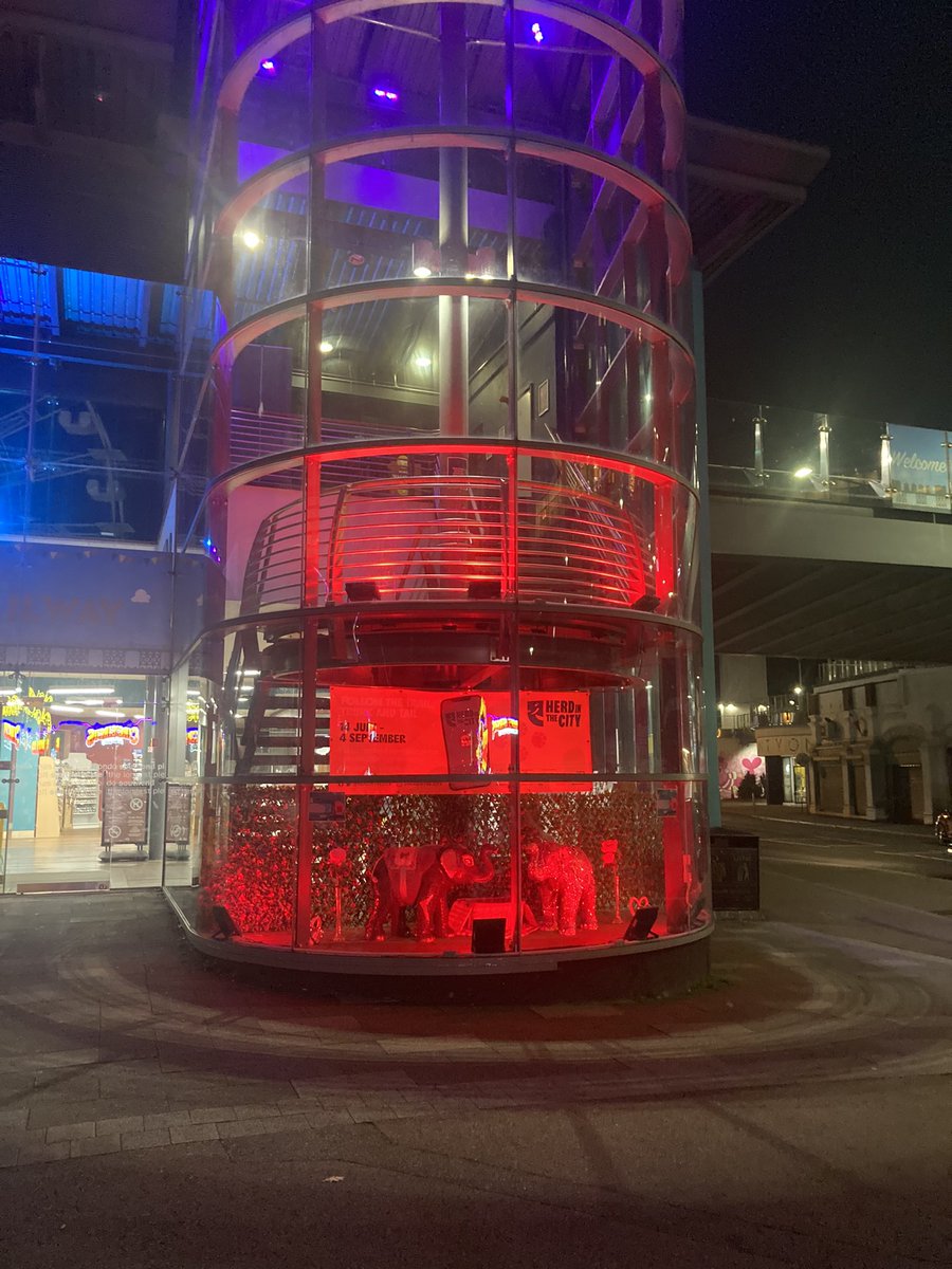 Tracy K RN (@tjk18) on Twitter photo Thank you so much to <a href="/southend_pier/">Southend Pier & Railway</a> for turning your lights red in support of #WorldSepsisDay tomorrow ♥️<a href="/HaydenRhona/">Rhona Hayden</a> <a href="/MSEHospitals/">Mid and South Essex NHS Foundation Trust</a> @M_J_Hopkins <a href="/MSELibraries/">MSE Libraries</a> Thank you so much to <a href="/southend_pier/">Southend Pier & Railway</a> for turning your lights red in support of #WorldSepsisDay tomorrow ♥️<a href="/HaydenRhona/">Rhona Hayden</a> <a href="/MSEHospitals/">Mid and South Essex NHS Foundation Trust</a> @M_J_Hopkins <a href="/MSELibraries/">MSE Libraries</a>