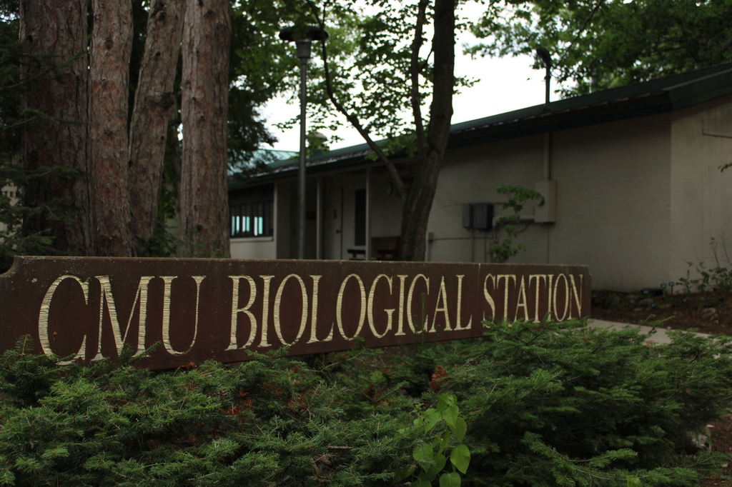 Central Michigan Univeristy Biological Station offers summer courses, research opportunities and jobs. Students and faculty reflect on their experience at CMUBS and share what is unique or challenging about the study and life up on the station and island.⁠