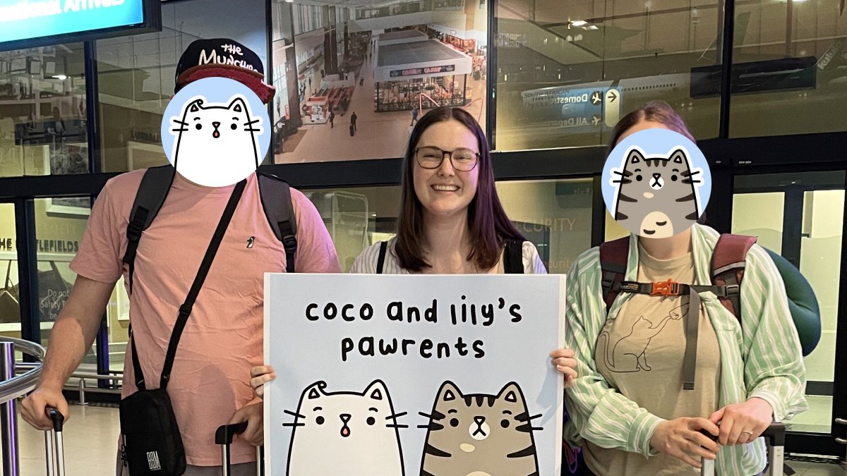 Little personal update: Yesterday I got to pick up Mr and Miss <a href="/_PowerPole/">Power Pole | Cat Stickors</a> at the airport - they're visiting me in South Africa for 2 weeks!! 😻💗

On Thursday we are going on a Safari - I hope you all have a great week too! 🦁