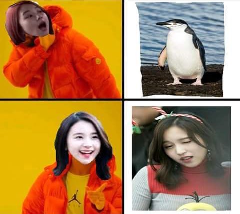 scandalhyo's tweet photo. Michaeng ended every ship in twice. Who else agrees? #michaeng #pooldate #Lesbians #twicedisband https://t.co/EdtEbfcjH5