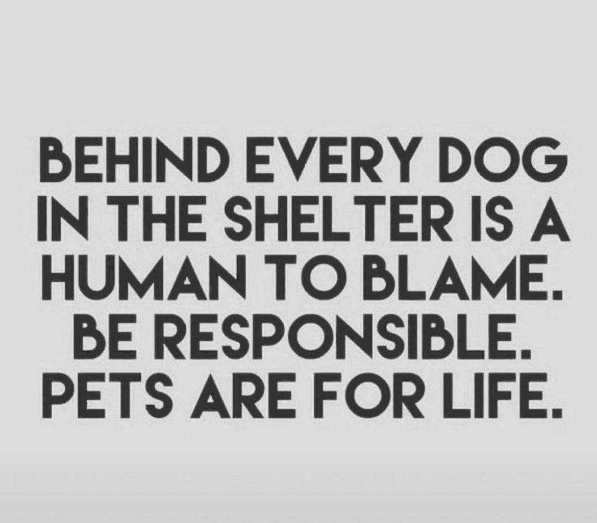 They did’nt put themselves in this situation. #adoptarescue