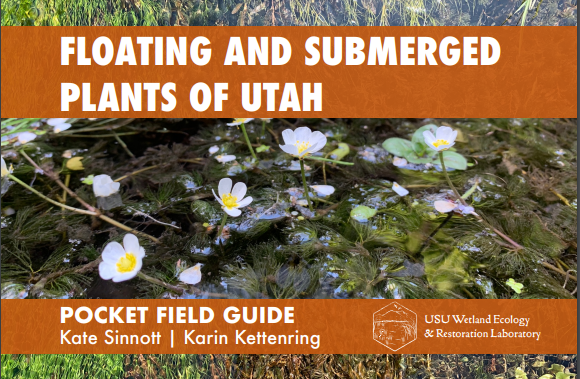 Aquatic plants have been ignored, maligned, and destroyed yet they're essential!  

Check out this awesome guide by @kateasinnott developed to improve knowledge and restoration of aquatic plants.

tinyurl.com/34tua2sj

@USU_WATS <a href="/usuextension/">USU Extension</a> <a href="/SERestoration/">SERestoration</a> <a href="/SWS_org/">Society of Wetland Scientists</a> <a href="/QCNRUSU/">QCNR at USU</a>