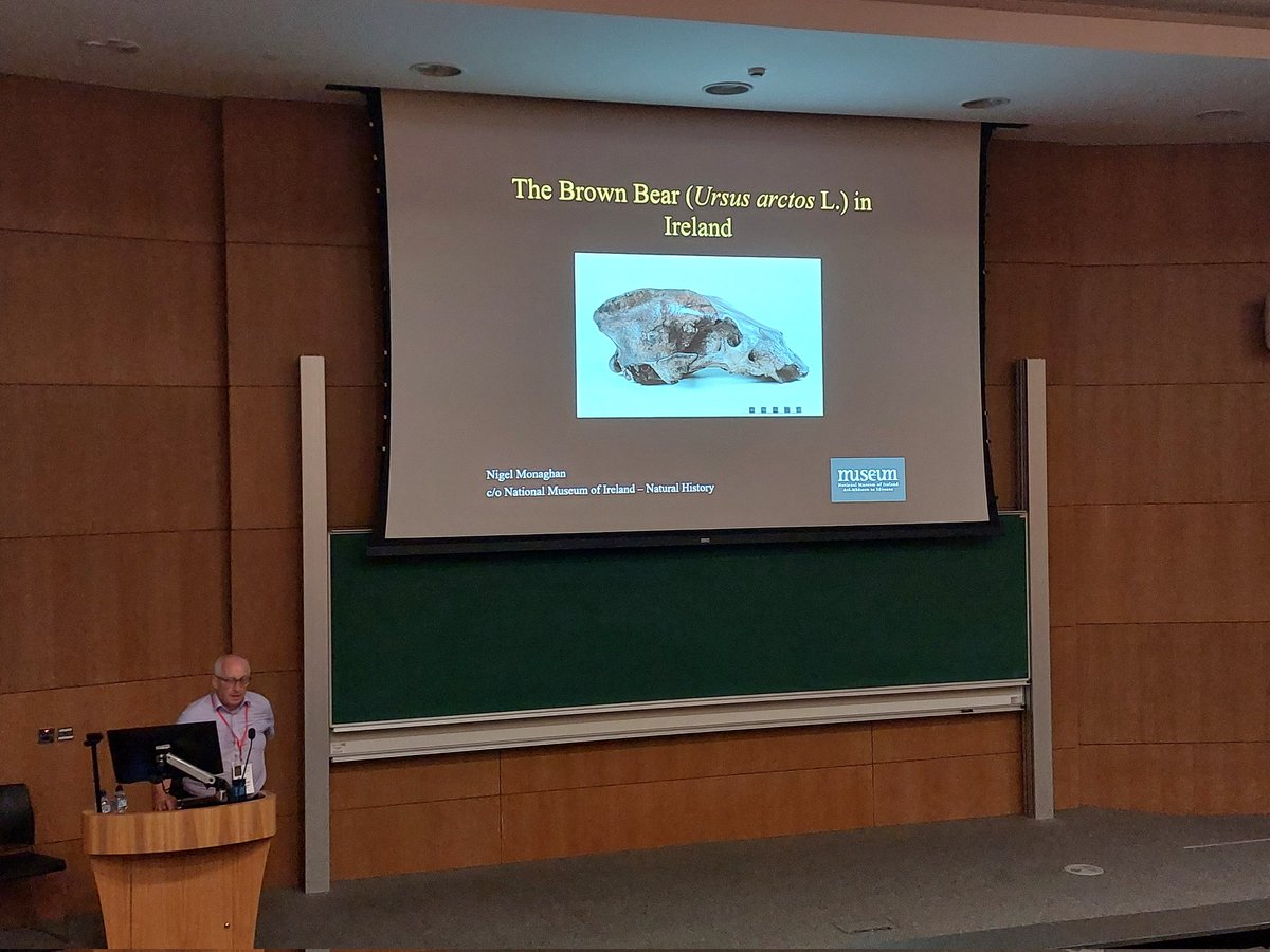 Linda Lyne tweet media